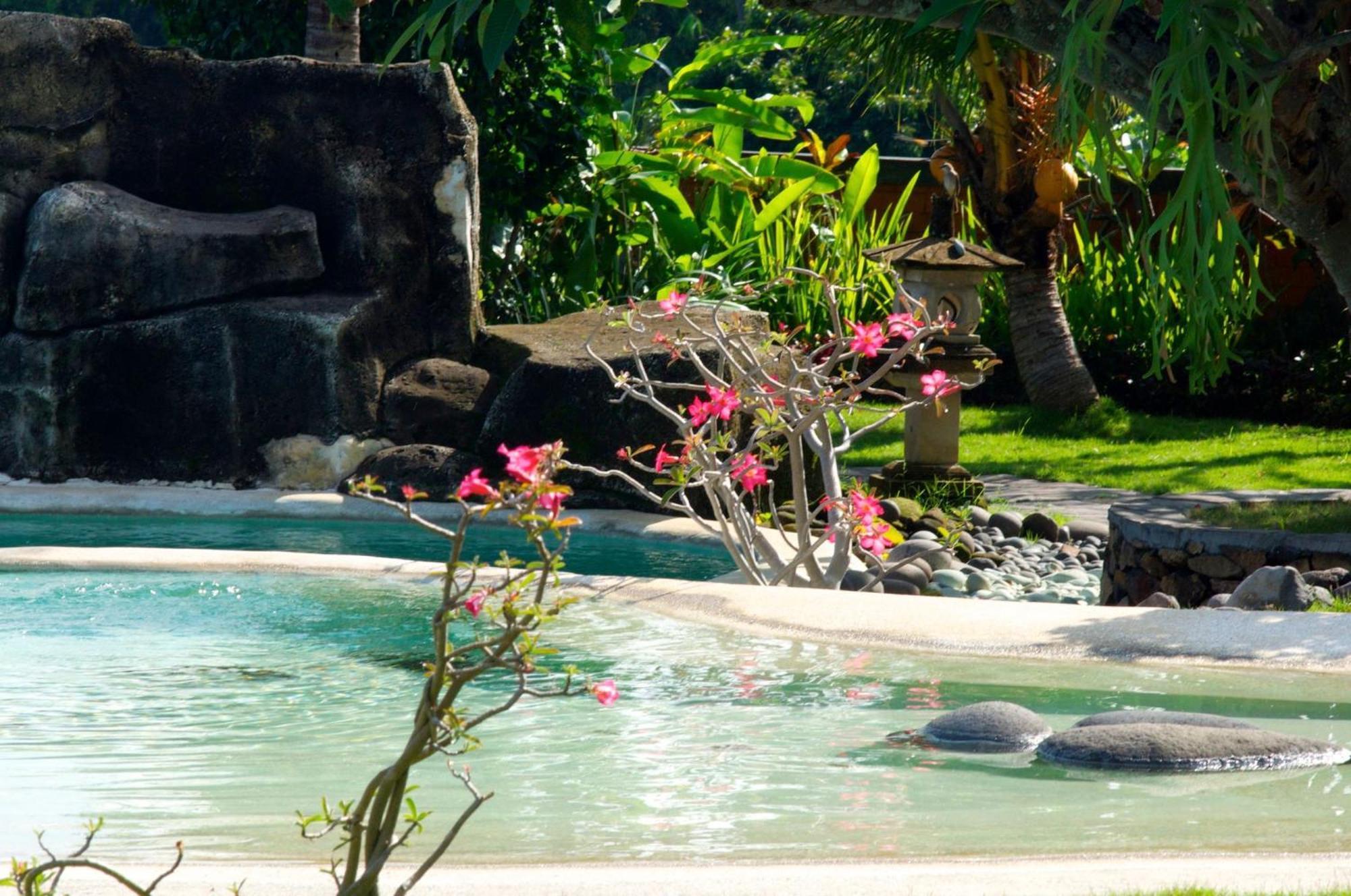 Villa Bali Pondok Jepang Lovina Kültér fotó